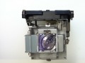 Bóng đèn máy chiếu Optoma EX799P